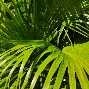 女厕撒尿㊙️免费看
